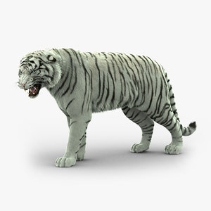 3D tiger rigged fur