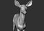 fawn deer 3D model