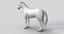 white horse animations 3D model