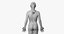 3D female skin skeleton rigged model
