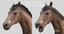 horse pro dark brown 3D model