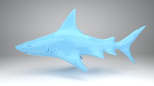 shark animation model