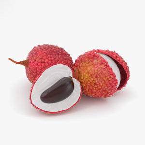 lychee food fruit 3D