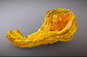 3D gourd