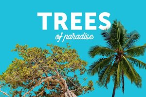 Trees of Paradise