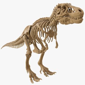 3D t rex 01 model
