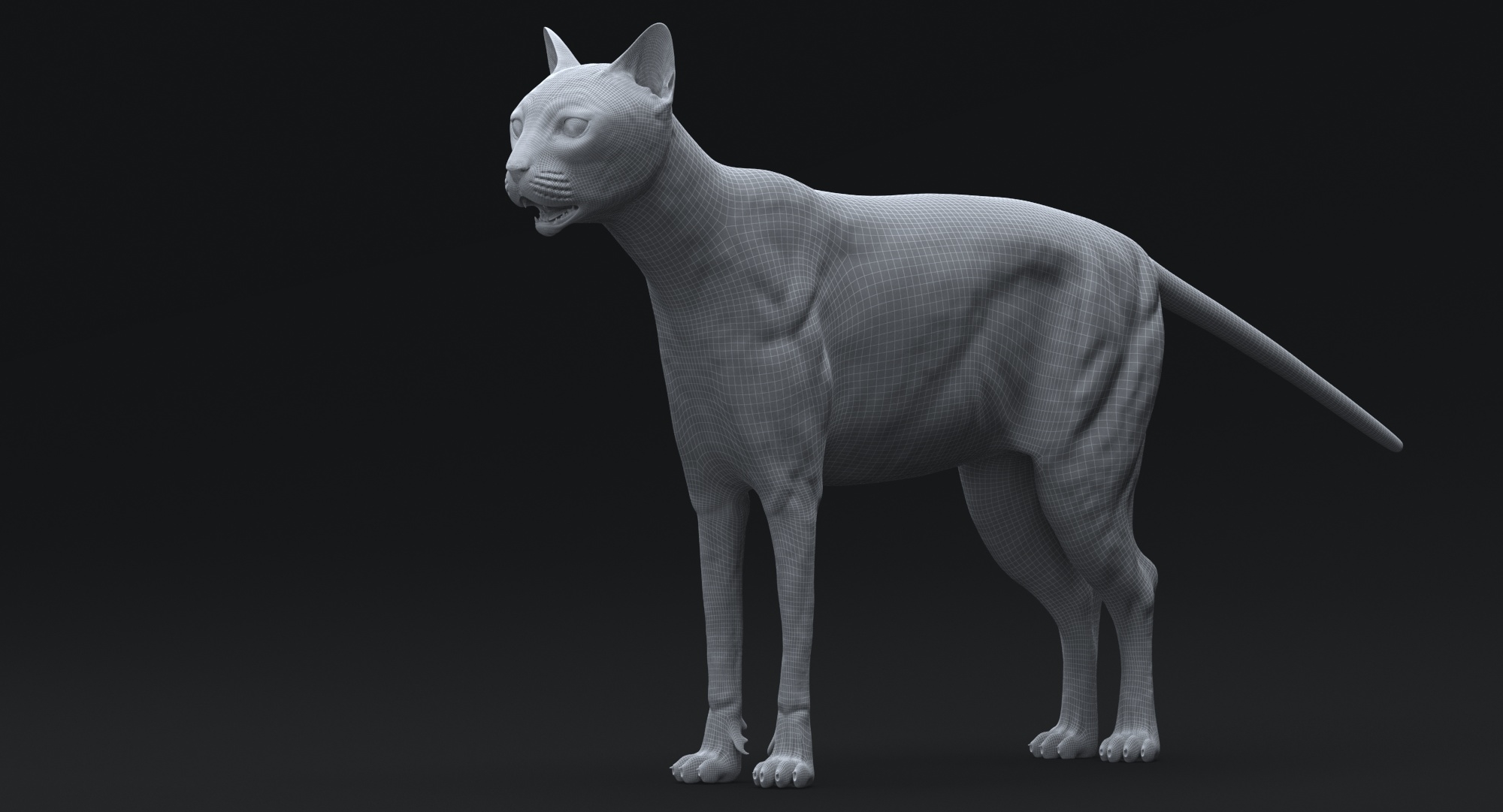 猫(鲭鱼虎斑猫)3d模型