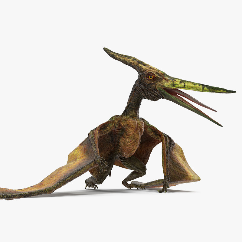 the pteranodon