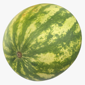 3D model water melon 01