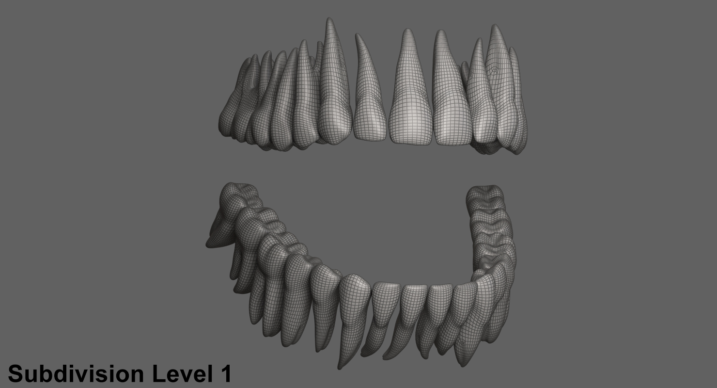 dentition teeth tongue gums 3d model