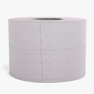 toilet paper model