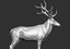 reed deer stag elk 3D model