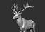 reed deer stag elk 3D model