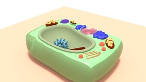 3D plant cell