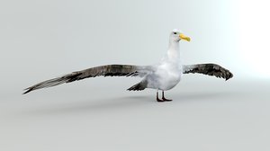 bird 3D