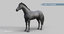 horse pro black animations 3D model