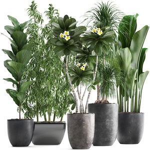 3D exotic plants model