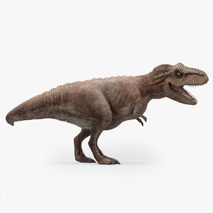 3D rex tyrannosaurus model