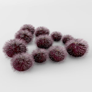 3D purple sea urchin model