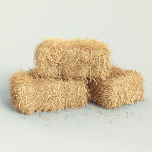 3d Hay Bale Models Turbosquid