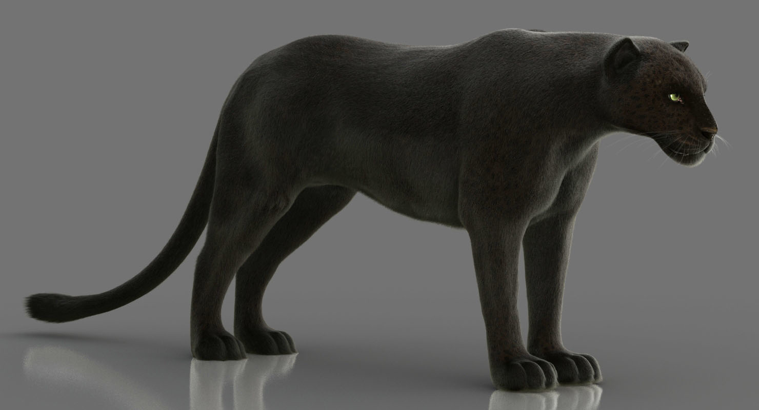 3D black panther rigged fur - TurboSquid 1404078