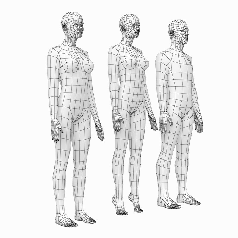 Proporções Naturais De Malha Base Feminina E Mascu Modelo 3d