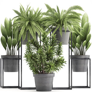 plants exotic 3D model