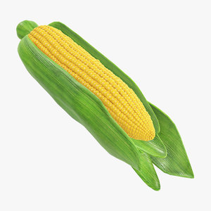 corn 3D model