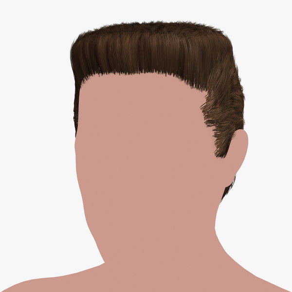 hairstyle 27 hair 3D model