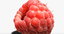 3D raspberry realistic real