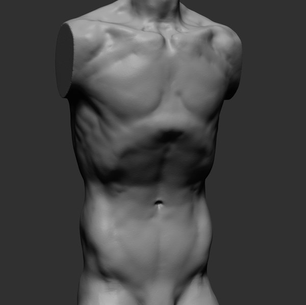 male torso doll