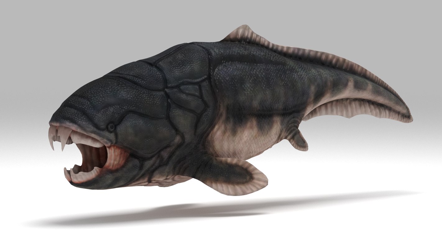 3D extinct dunkleosteus - TurboSquid 1404537