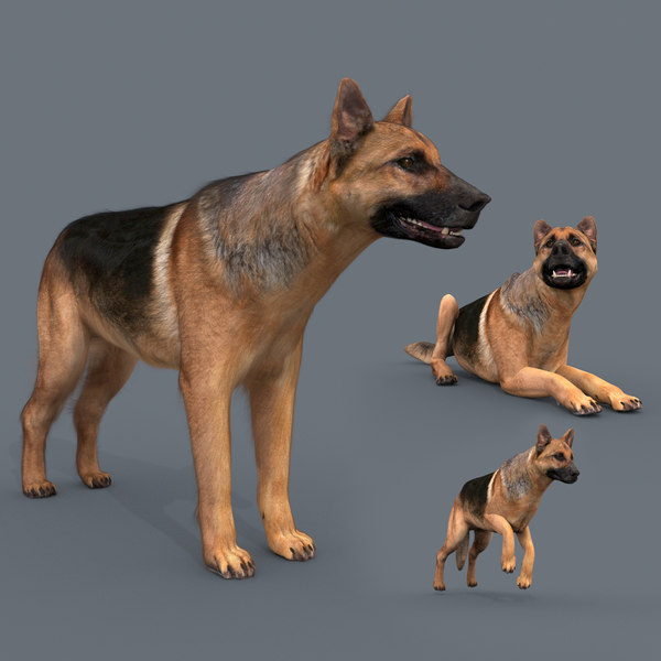 dog animation - 3D model