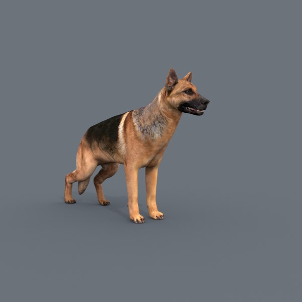 私の犬 3dアニメーション犬モデル3dモデル Turbosquid