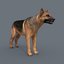 dog animation - 3D model