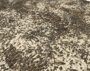 Sand and Gravel Seamless Pack PBR