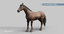 horse pro dark brown 3D model