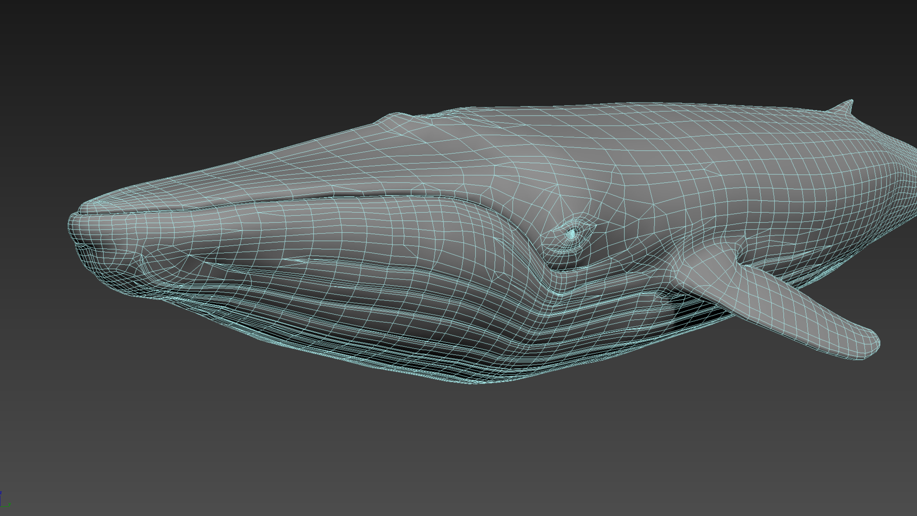 蓝鲸与辛烷支持3d模型