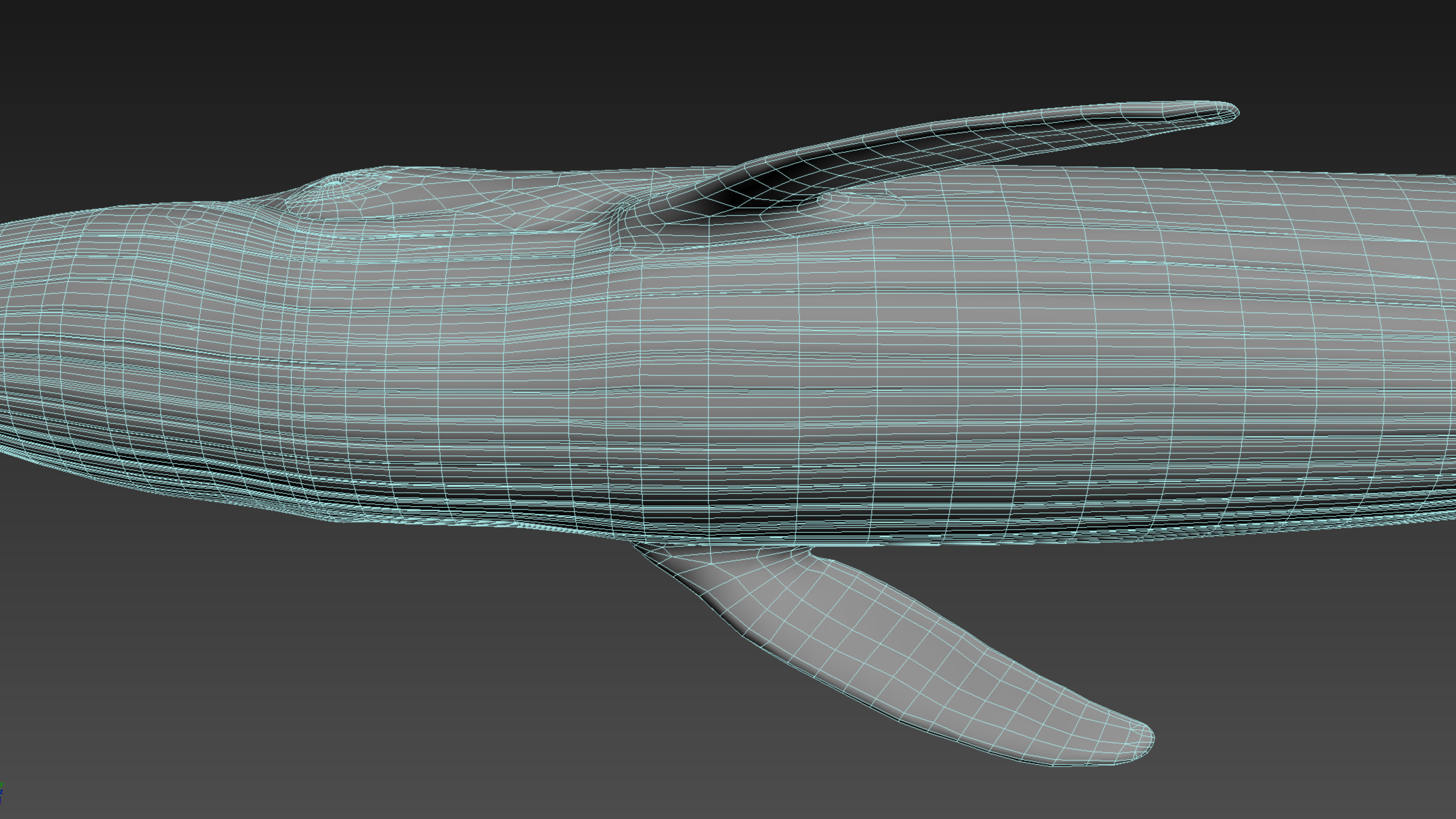 3d blue whale