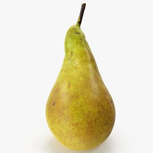 3D pear conference 06 hi
