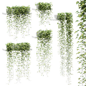 3D hanging ivy pots shelves