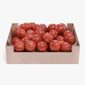 tomatoes box model