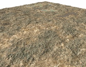 Dirty terrain Seamless PBR Texture