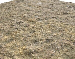Terrain mix Seamless PBR Texture
