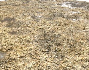 Rough Terrain 3 Seamless PBR Texture