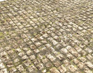 Cobblestone Road 1 PBR