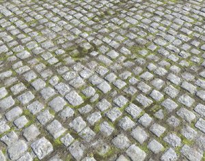 Cobblestone Road 5 PBR