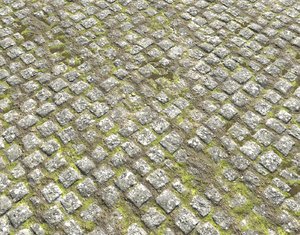 Cobblestone Road 6 PBR