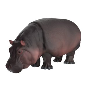 3D model low-poly hippopotamus