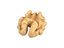 scanned walnut kernel 3D model